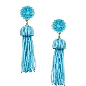 Lisi Lerch tassel earrings in Aqua.